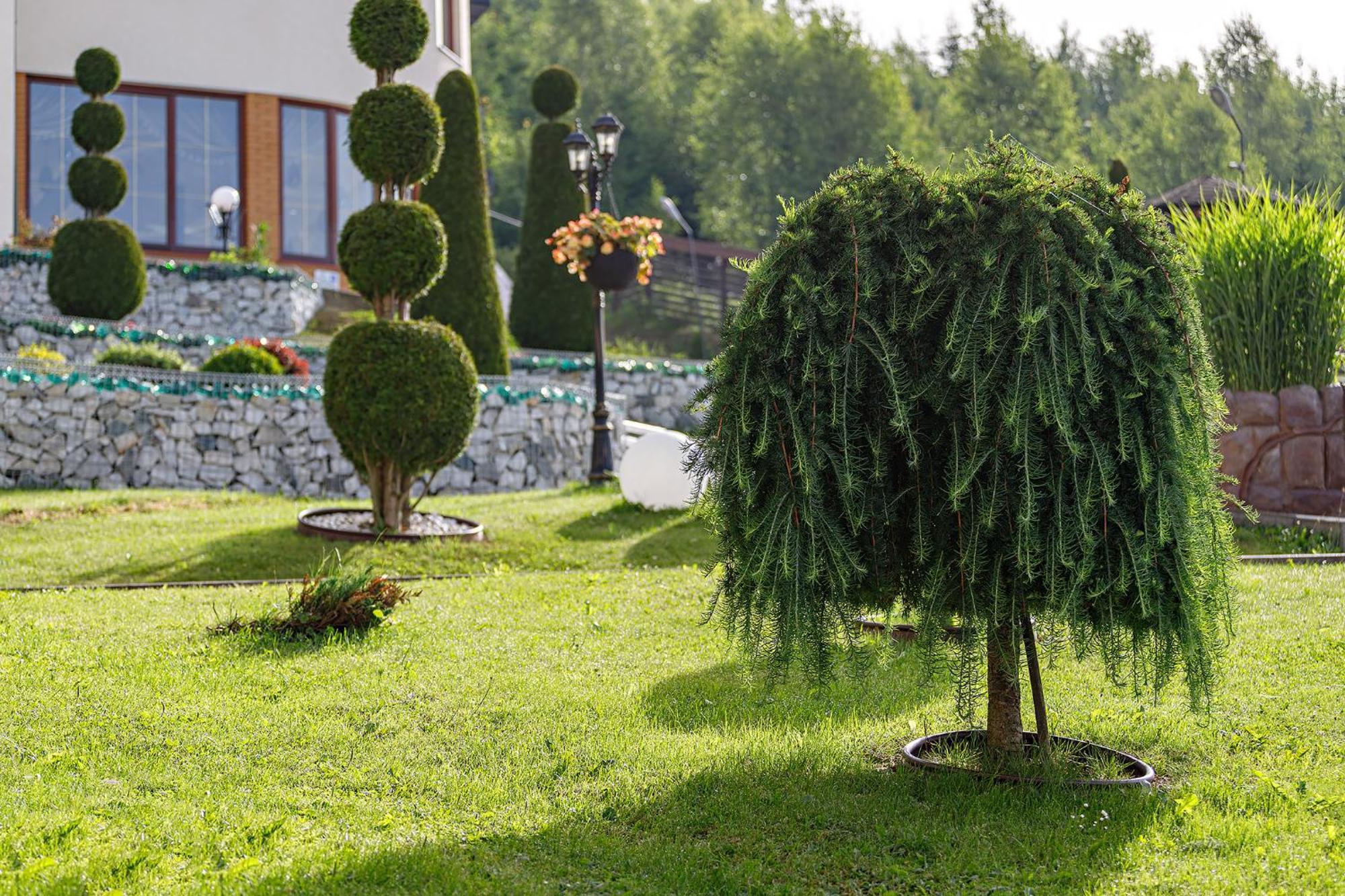 Hotel Podgorie Spa Bukovel Ngoại thất bức ảnh